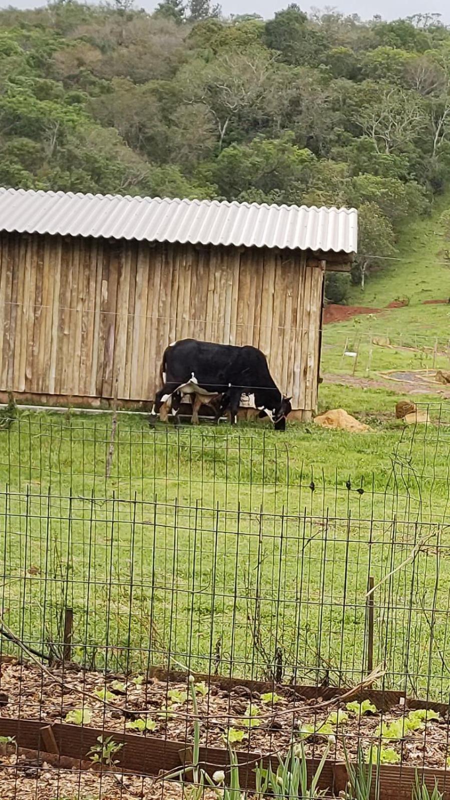 Pousada Rancho Do Lago Osorio Esterno foto