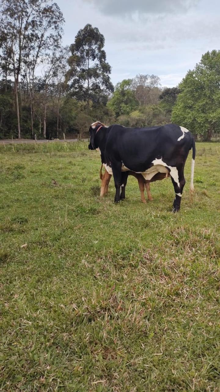 Pousada Rancho Do Lago Osorio Esterno foto